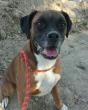 Chance (caso externo)