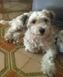 Luky