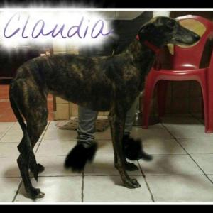  Claudia 