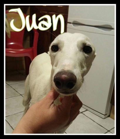 Juan